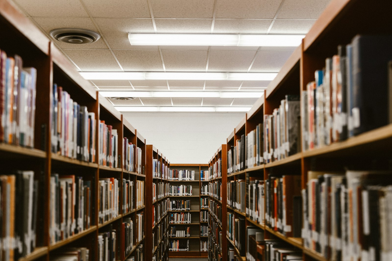 Student visa pathway planning